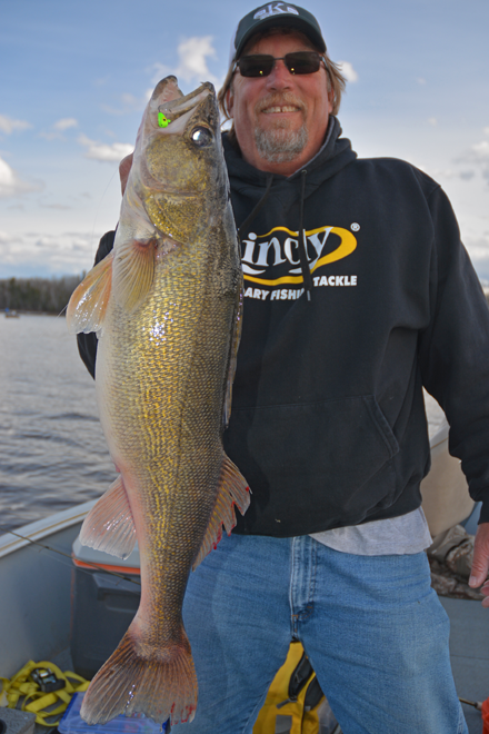 Fishing tips for walleye are something in high demand. Walleye are a  stubborn fish that needs lots of precis…