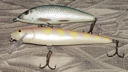 Salmo Whitefish and Salmo Warrior produce nice Northern Pike in early fall