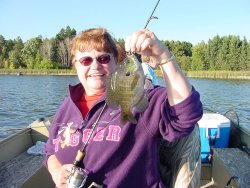 Sharon Karels has what it takes to catch nice Bluegills in the Grand Rapids Area