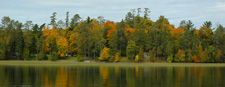 Fall Colors MN Deer River 2