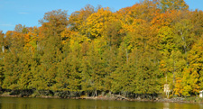 Fall Colors MN Deer River 6