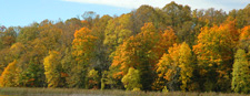 Fall Color September 25, 2010
