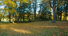 Autumn Colors 9-26-10 Minnesota