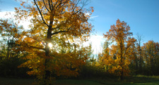 Autumn Colors 9-26-10 Minnesota