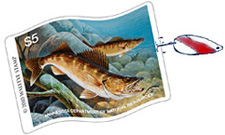 2010 MN Walleye Stamp