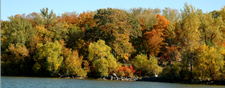 Fall Color Leech Lake