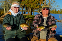 Fishing Bluegills Northern Minnesota