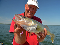 Walleye Fishing Cass Lake