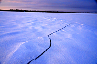 image of Ice on Deer lake Dec 21 2013