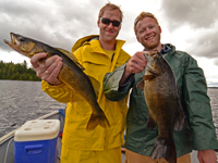 Walleye and Smallmouth caught on Kashabowie by Fritz and John Hauschild