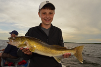 Walleye caught by Cameron Bopp on Lake Winnie