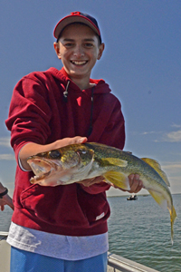 Walleye caught by Will Edmonds on Leech Lake