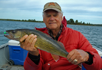 Walleye caught by Bob Carlson on Leech Lake 