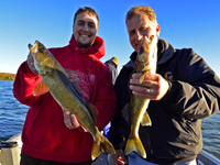 Walleyes caught by Matt and Andrew Higgins