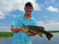 image of largemouth bass caught on the mississippi river