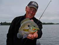 image of fishing guide Jeff Sundin holding nice Bluegill 