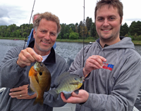 image of Matt and Andrew Higgins with a nice pair of Bluegills