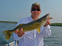 image of Walleye caught during the Daikin Fisharoo by Michael