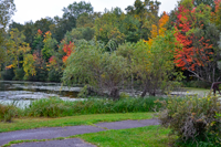 image of fall colors at trout lake 