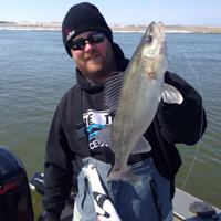 image of Ray Welle with Walleye caught on Big Stone Lake