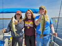 image of three girls holding Walleyes on Red Lake