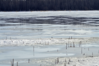 image of water standing on the ice