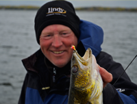 image of Walleye caught on a Lindy Jig
