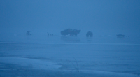 image of ice fishermen on Middle Sucker Lake