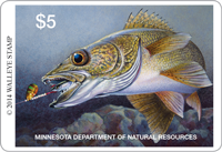 image of Minnesota 2014 Walleye Stamp