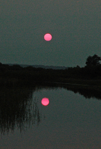 image of red sunset reflecting on water