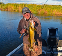 image of Jeff Sundin with Mississippi River Walleye