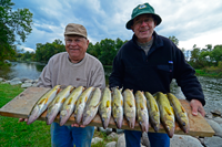 image of Paul and Gary Vitse with a limit of Walleyes