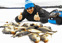 image of Crappies on the ice at Rainy Lake