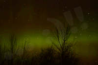 image of Northern Lights over Deer River
