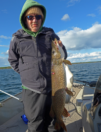 image of large pike caught on cass lake