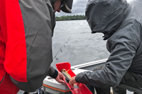 image of paul and susan measuring walleye