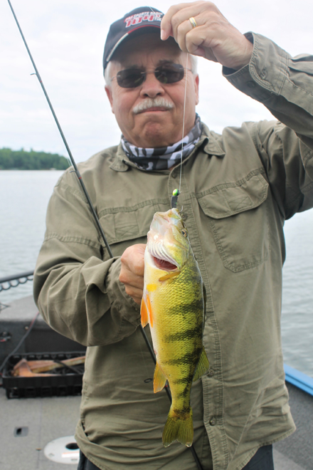  Paul Brown's FB-09 7/8-Ounce Fat Boy Fishing Lure, 3