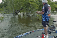 image links to fishing video