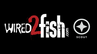 IMAGE LINKS TO wired2fish 