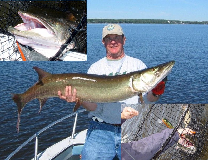 Bruce Champion Musky Picture