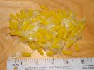 Tube Skirts 1-1/2 inch clear-yellow 100 pack