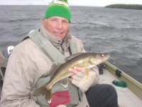 Typical spring Walleye in the shallows