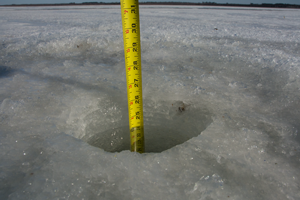 image of ruler measuring ice thickness