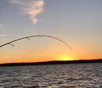 image of rod bending with sunset