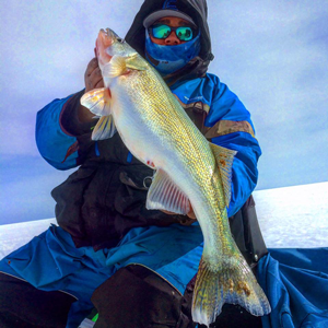 Cover More Water with Leadcore for Late Summer Walleye - Virtual Angling