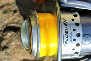 image of bright yellow fishing line