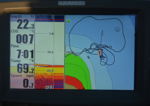 image of walleye on screen