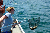 Beckman Fishing Net