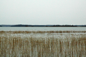 Deer Lake Ice Report