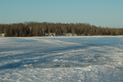 Ice Fishing Report Island Lake